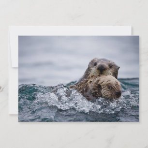 Cartão De Agradecimento Bebês Mais Pobres Outro Bebê e mãe