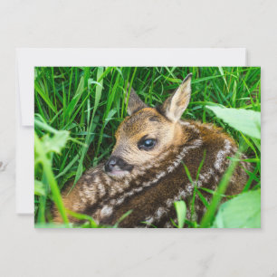 Cartão De Agradecimento Bebês Mais Pobres Roe Deer Baby