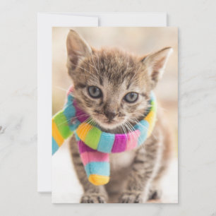 Cartão De Agradecimento Bebês Mais Pobres   Tabby Kitten Rainbow Scarf