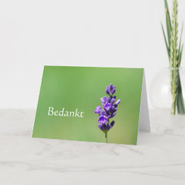 Cartão De Agradecimento Bedankt - Obrigado em holandês com flor de lavanda