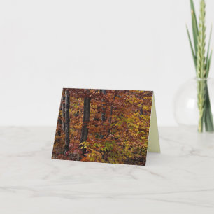 Cartão De Agradecimento Beech Tree Forest Thank You