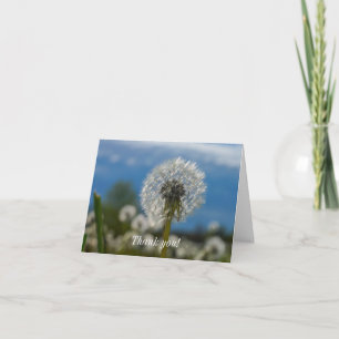 Cartão De Agradecimento Beleza De Um Dandelion