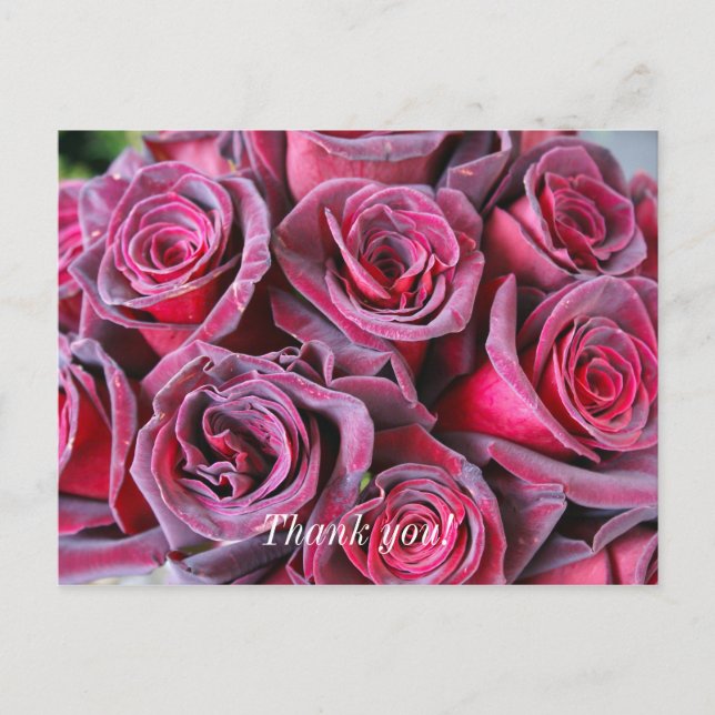 Cartão de Agradecimento Beleza de Veludo (Frente)