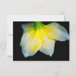 Cartão De Agradecimento Beleza por baixo