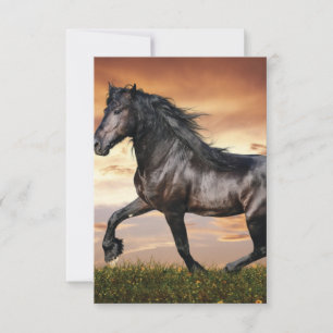 Cartão De Agradecimento Belo Cavalo Negro