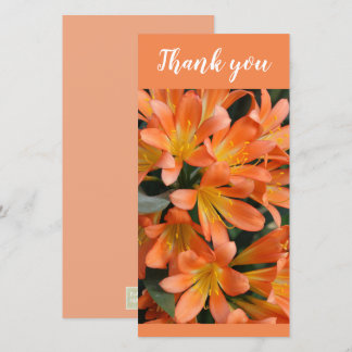Cartão De Agradecimento Belo Orange Kaffir Lily Flowers