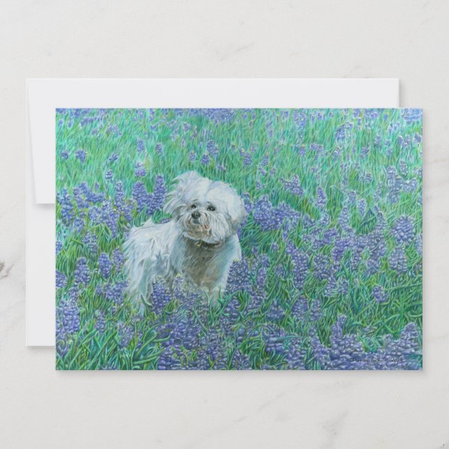 Cartão De Agradecimento Bichon Frise em Bluebonnets (Frente)