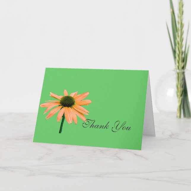 Cartão De Agradecimento bilhete de agradecimento, flores de margarida (Frente)