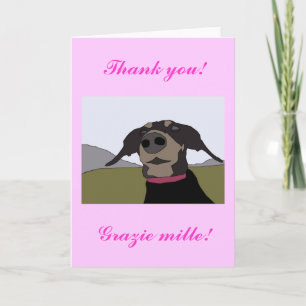 Cartão De Agradecimento Bilingual Dachshund Thank You Card