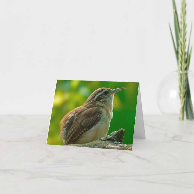Cartão De Agradecimento Bird Notecard (Frente)