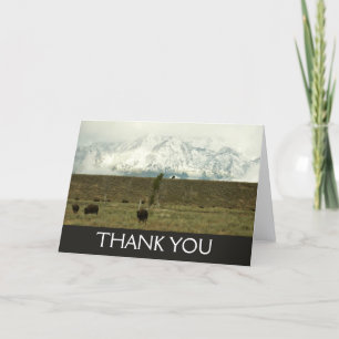 Cartão De Agradecimento Bison no Grand Teton National Park Fotografia