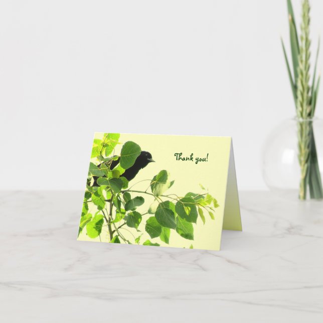 Cartão De Agradecimento Blackbird Obrigado (Frente)