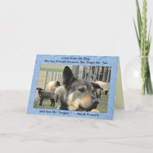 Cartão De Agradecimento Blank Cards! Dog Proverb.