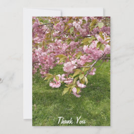 Cartão De Agradecimento Blossom de Cereja Rosa do Jardim Japonês de Buffal