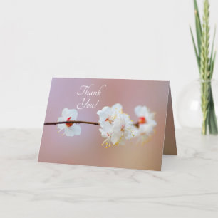 Cartão De Agradecimento Blossomas Apricot Japoneses Adoráveis