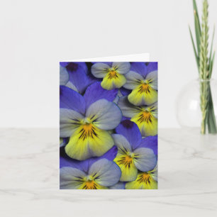 Cartão De Agradecimento Blue & Yellow Wild Pansy Thank You Card