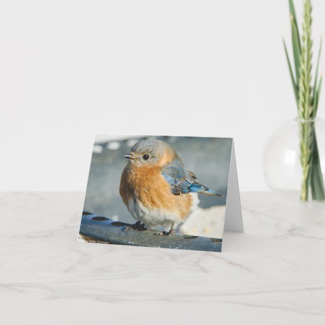 Cartão De Agradecimento Bluebird da felicidade (Frente)