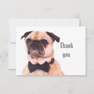 Cartão De Agradecimento Bobo De Diversão - Cachorro Formal Obrigado