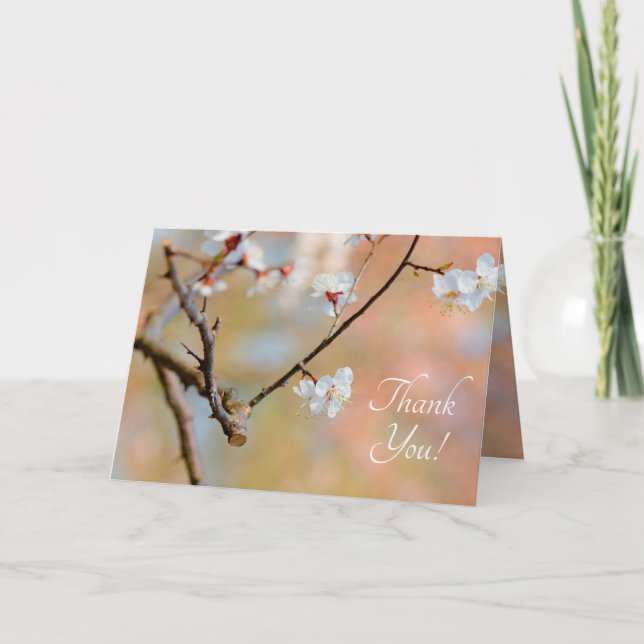 Cartão De Agradecimento Bolsas de Apricot Japonesas (Frente)