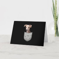 Bolso De Peito De Soro De Gato De Galgo Italiano P