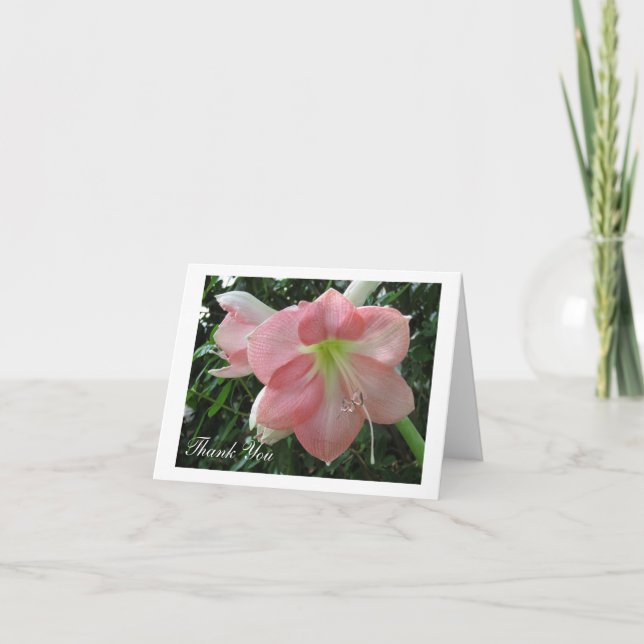 Cartão De Agradecimento Bonito Lily Rosa (Frente)
