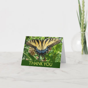 Cartão De Agradecimento Borboleta II de Swallowtail em Shenandoah