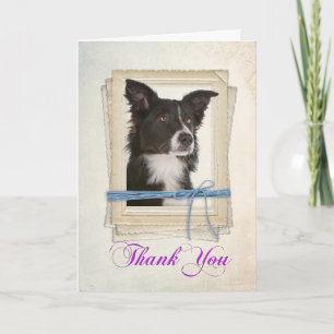 Cartão De Agradecimento Border Collie Thank You Card