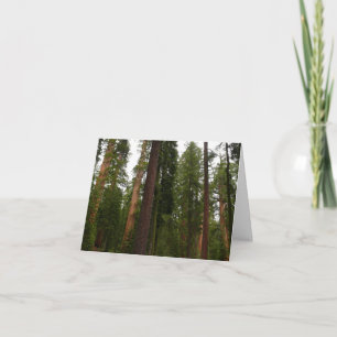 Cartão De Agradecimento Bosque Mariposa no Parque Nacional de Yosemite
