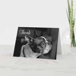 Cartão De Agradecimento Boston terrier