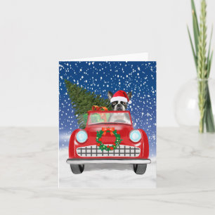 Cartão De Agradecimento Boston terrivelmente Cão Dirigindo Carro No Natal 