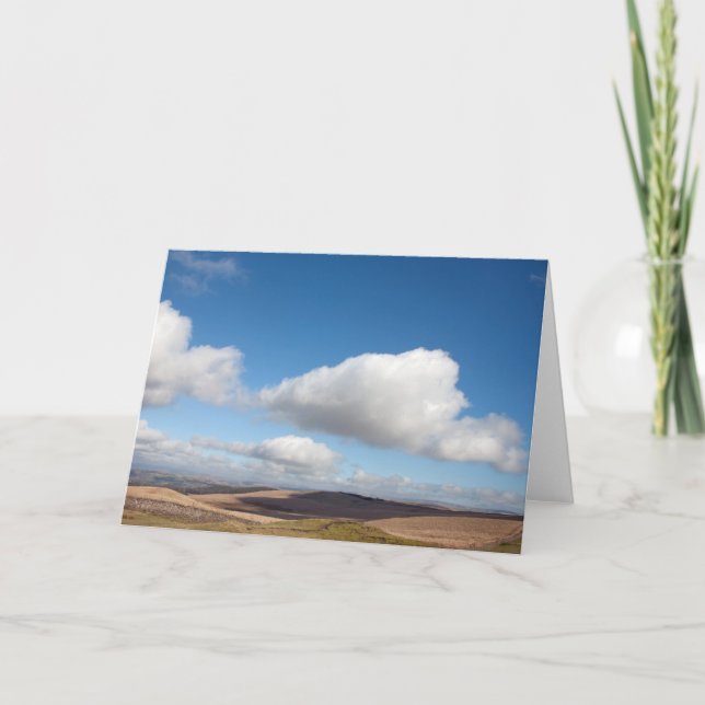 Cartão De Agradecimento Bowstonegato (Frente)