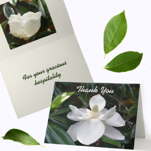 Cartão De Agradecimento Branca Magnolia Fotográfica Botânica