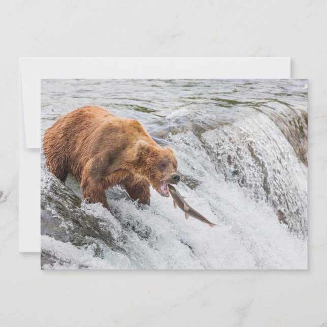 Cartão De Agradecimento Brown Bear Catches Red Salmon (Frente)