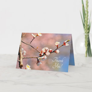 Cartão De Agradecimento Buds De Flores Apricot Japonesas