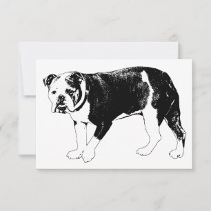 Cartão De Agradecimento Bulldog da Gratidão, Expressão Gentil