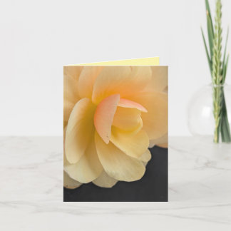 Cartão De Agradecimento Buttery Begonia Note Card