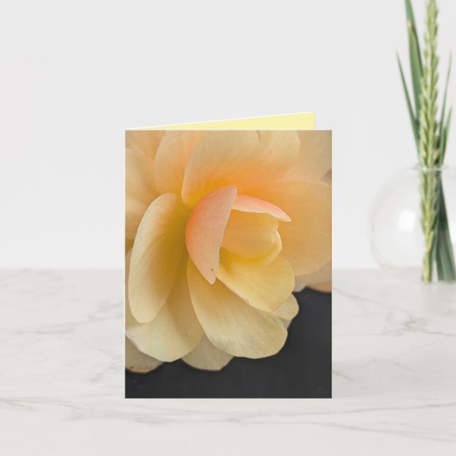 Cartão De Agradecimento Buttery Begonia Note Card (Frente)