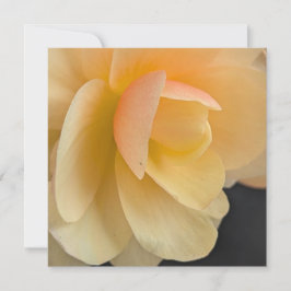 Cartão De Agradecimento Buttery Begonia Note Card