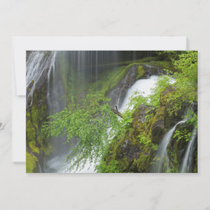 Cartão De Agradecimento Cachoeira Verde Paisagística
