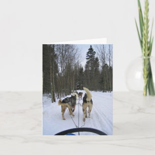 Cartão De Agradecimento Cachorro Dormindo em Quebec, Canadá