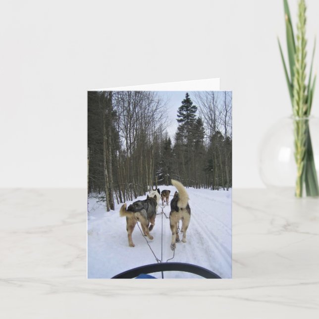 Cartão De Agradecimento Cachorro Dormindo em Quebec, Canadá (Frente)