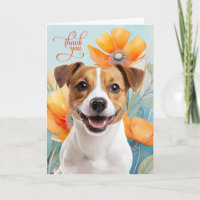 Cachorro Jack Russell com Papoulas Laranjas