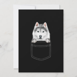 Cartão De Agradecimento Cachorro Siberiano Husky Em Bolso Presente Engra