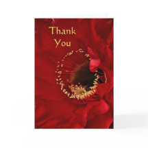 Cacto de fogo Obrigado