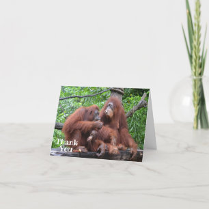 Cartão De Agradecimento Café da manhã com os Orangutanos Engraçados