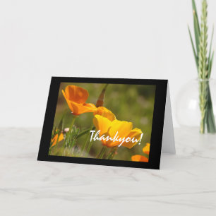 Cartão De Agradecimento California Poppies Thankyou! Card