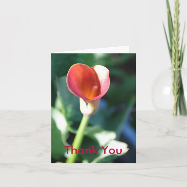 Cartão De Agradecimento Calla Lilly, obrigado (Frente)