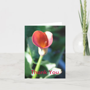 Cartão De Agradecimento Calla Lilly, Thank You