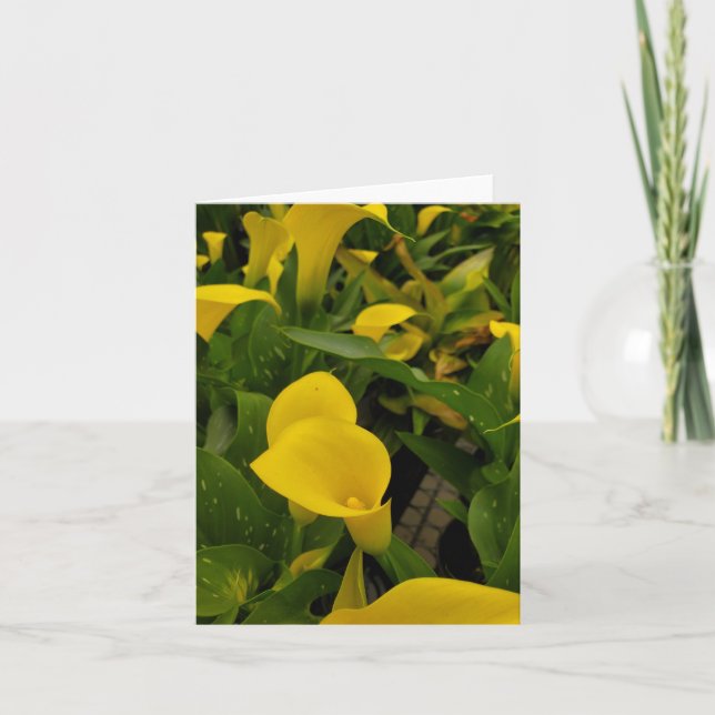Cartão De Agradecimento Calla Lily (Frente)