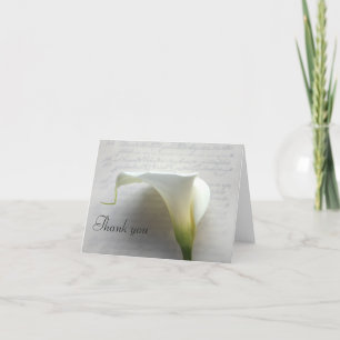 Cartão De Agradecimento calla lily on old script thank you card